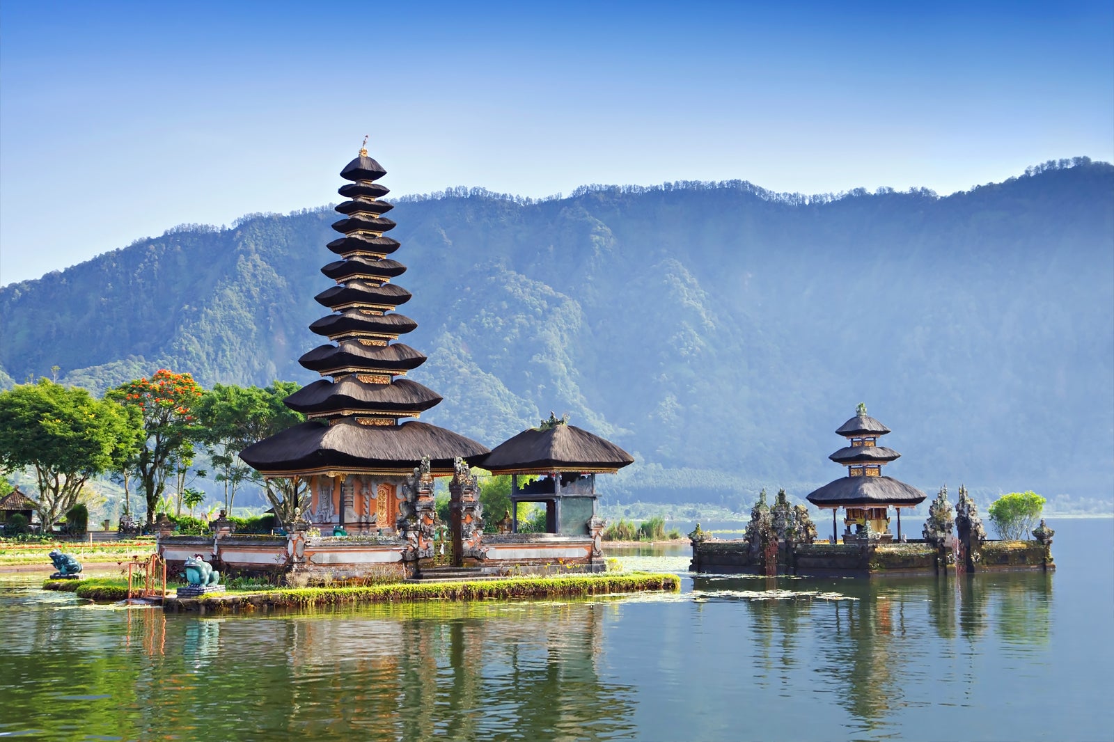 Vamana Bali Trending Escape Tour